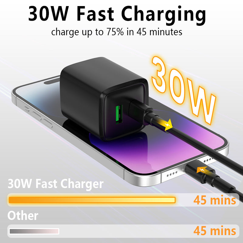 30W MINI Charger
