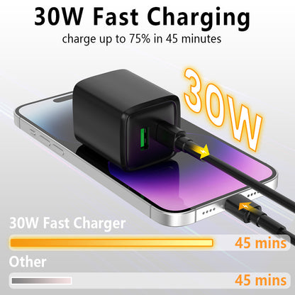 30W MINI Charger